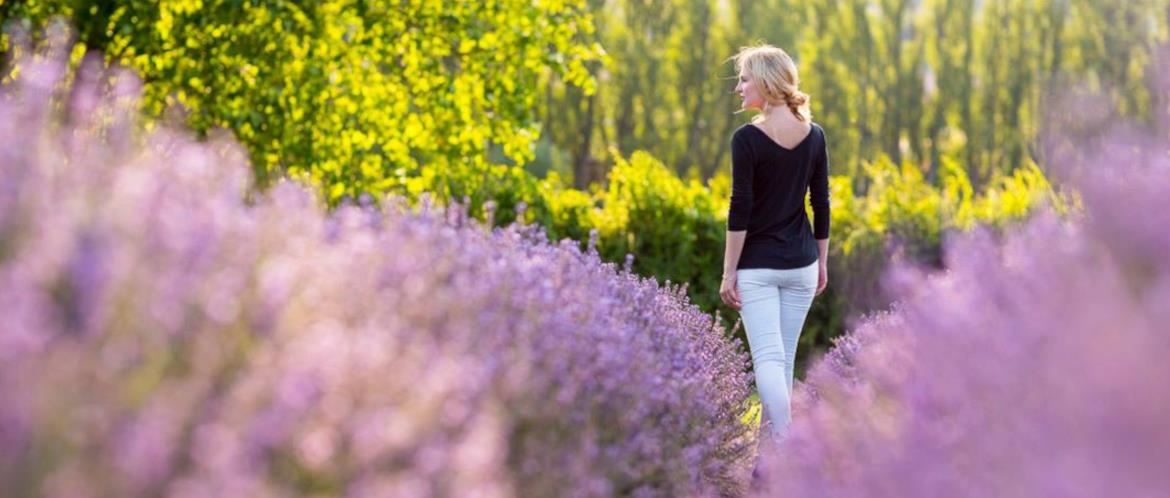 Lavender Hill Clothing